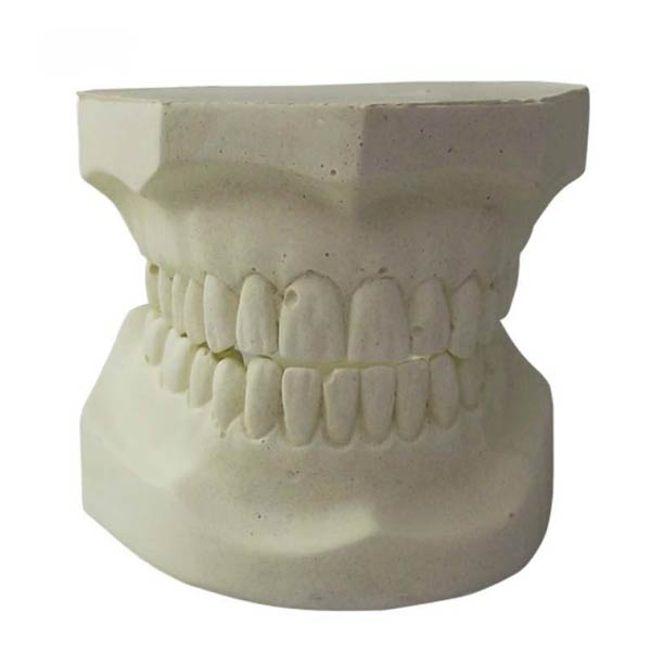 Modello UM-S22 dei denti di allundum bianco