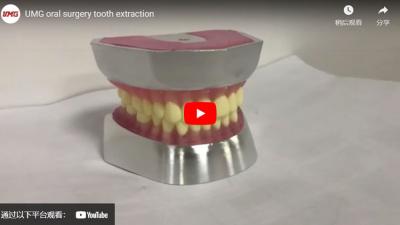 Estrazione del dente di chirurgia orale UMG