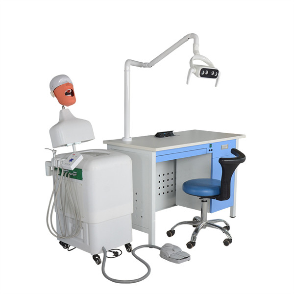 UMG-VI due serie di posizione commemorativa sistema di pratica di simulazione dentale